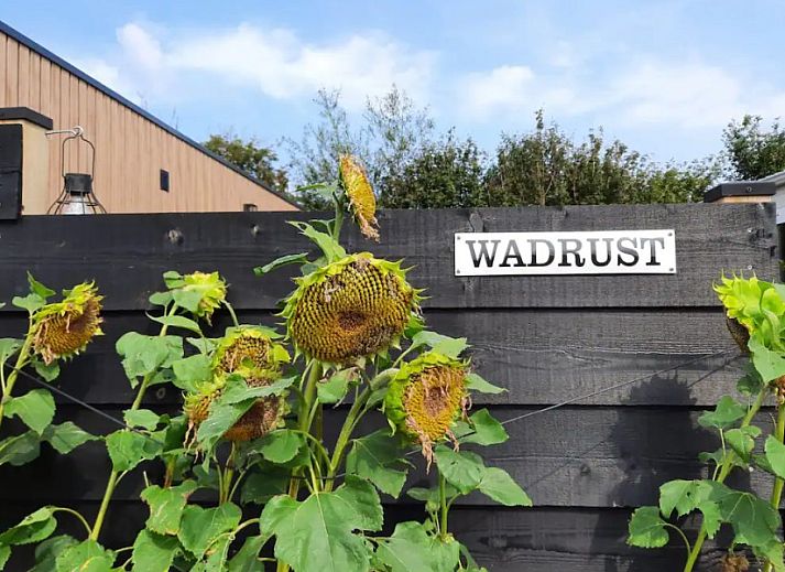 Guest house 031510 - Chalet Terschelling - WadRust (standplaats 80)