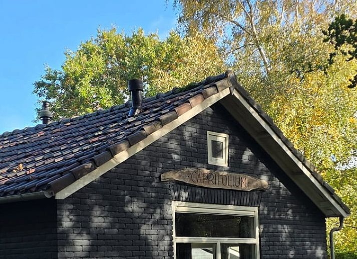 Verblijf 031513 - Vakantiewoning Terschelling - Vakantiehuis in Midsland Noord