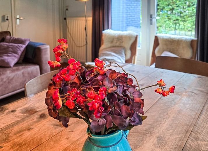 Verblijf 031513 - Vakantiewoning Terschelling - Vakantiehuis in Midsland Noord