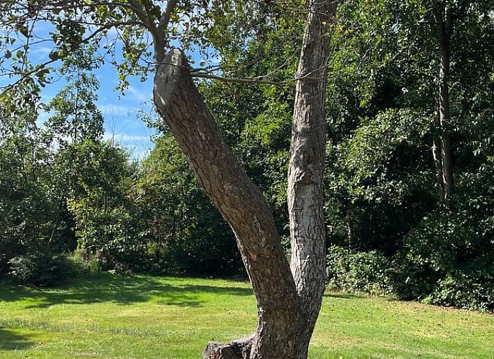 Verblijf 031514 - Vakantiewoning Terschelling - Vakantiehuis in Midsland Noord