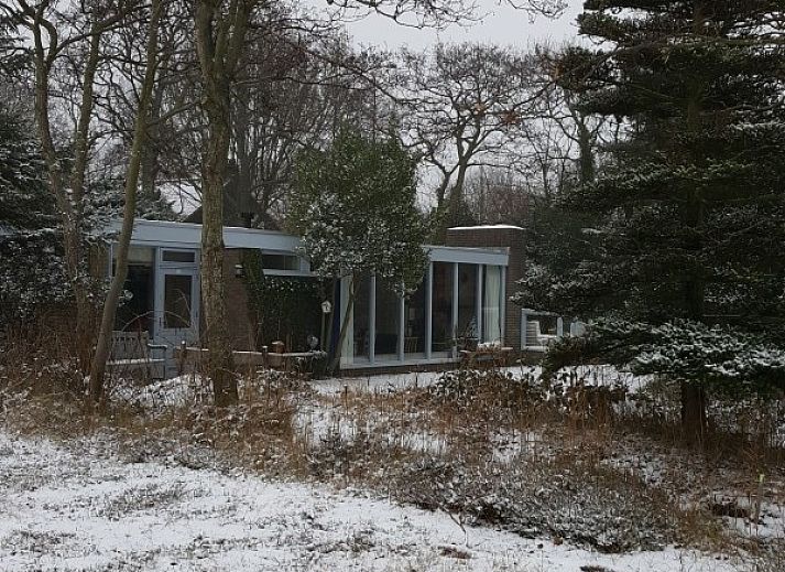Pad naar Anchorage bungalow in Midsland Noord, Terschelling omgeven door bomen.