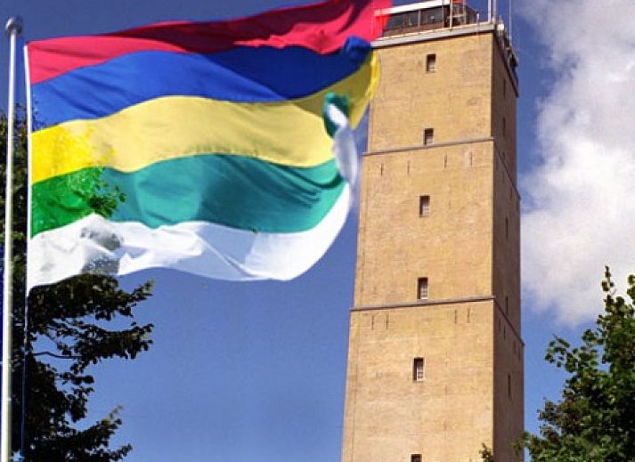 Uitzicht op de natuur rondom chalet Hebbes, Midsland Noord, Terschelling, met weelderige groene velden en bossen.