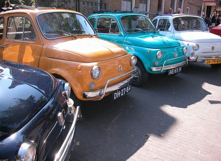 Wilde paarden in de duinen nabij Hebbes, een vakantiehuis in Midsland Noord, Terschelling, omgeven door natuurlijke pracht.