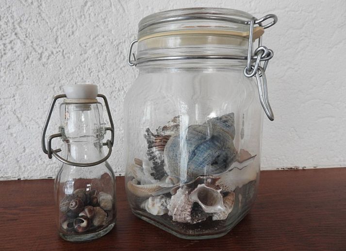 Botter Ferienhaus in Midsland Noord Terschelling umgeben von Blumen und Gartenmoebeln