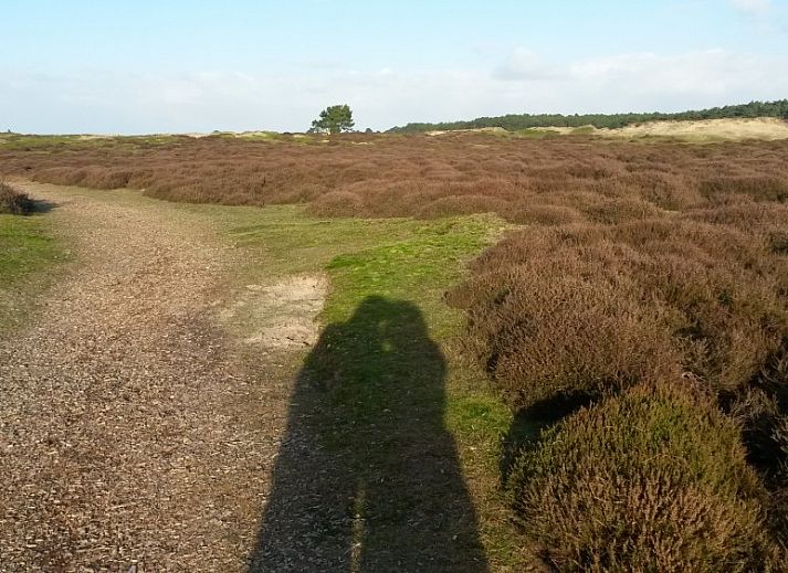 Cozy living room in Glissando bungalow, Midsland Noord, Terschelling with comfortable blue sofa.