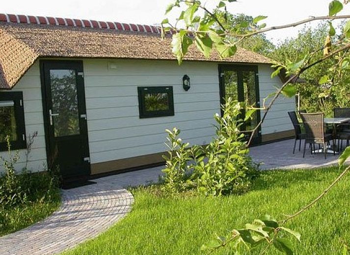 Guest house 031563 - Holiday property Terschelling - 2 pers. cottage