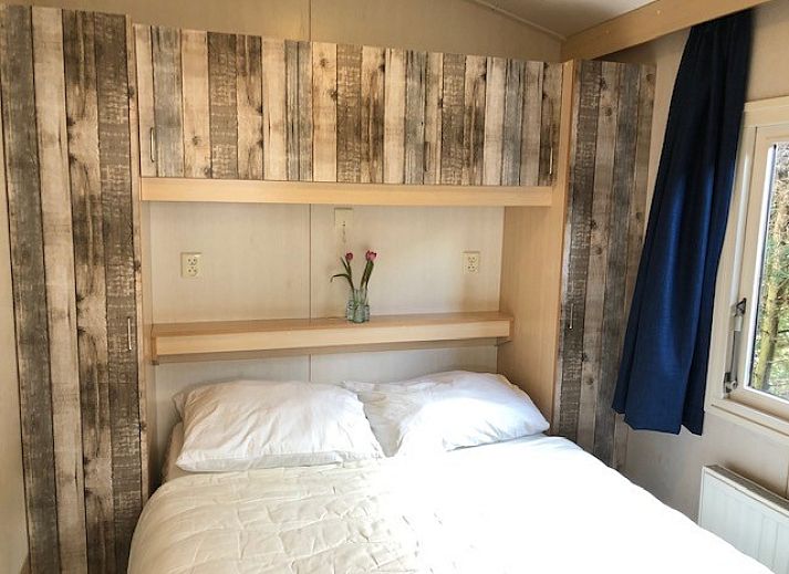 Guest house 031570 - Chalet Terschelling - Chalet DOMETO