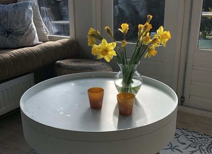 Guest house 031570 - Chalet Terschelling - Chalet DOMETO