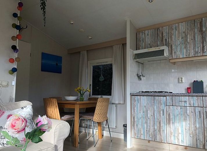 Guest house 031570 - Chalet Terschelling - Chalet DOMETO