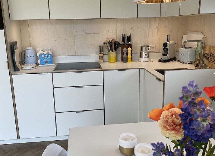 Guest house 031578 - Holiday property Terschelling - Sinne
