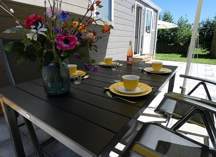 Guest house 031580 - Chalet Terschelling - 't Snitserleven Chalet