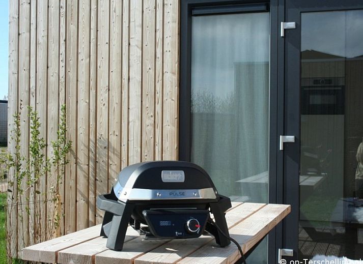 Guest house 031582 - Holiday property Terschelling - Kleine Walvis