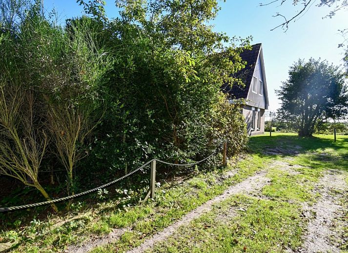 Guest house 031588 - Holiday property Terschelling - De Grutto