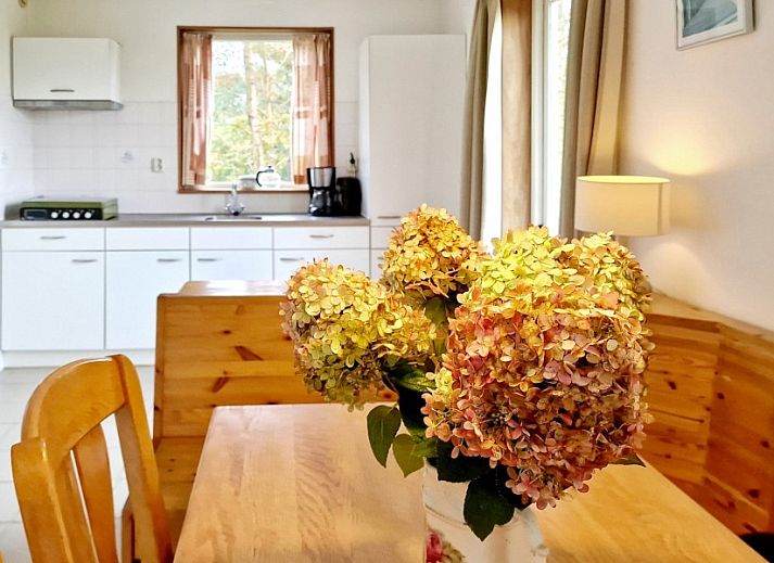 Guest house 031588 - Holiday property Terschelling - De Grutto