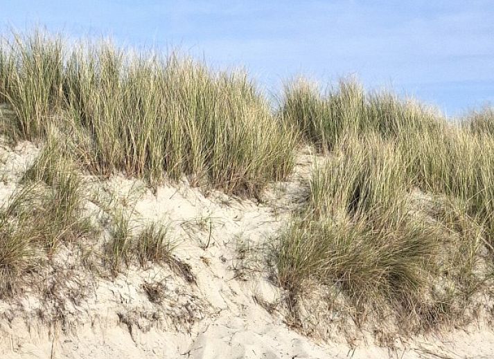 Unterkunft 031592 - Mobilheim Terschelling - Moai Fuort (nabij Bos &amp; Duin)