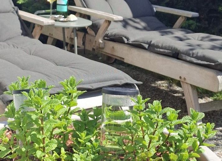 Unterkunft 031592 - Mobilheim Terschelling - Moai Fuort (nabij Bos &amp; Duin)