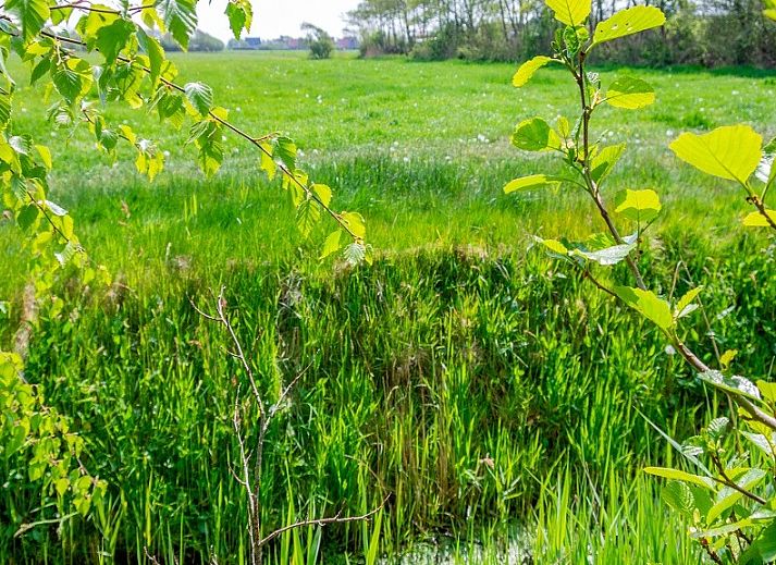 Unterkunft 031592 - Mobilheim Terschelling - Moai Fuort (nabij Bos &amp; Duin)