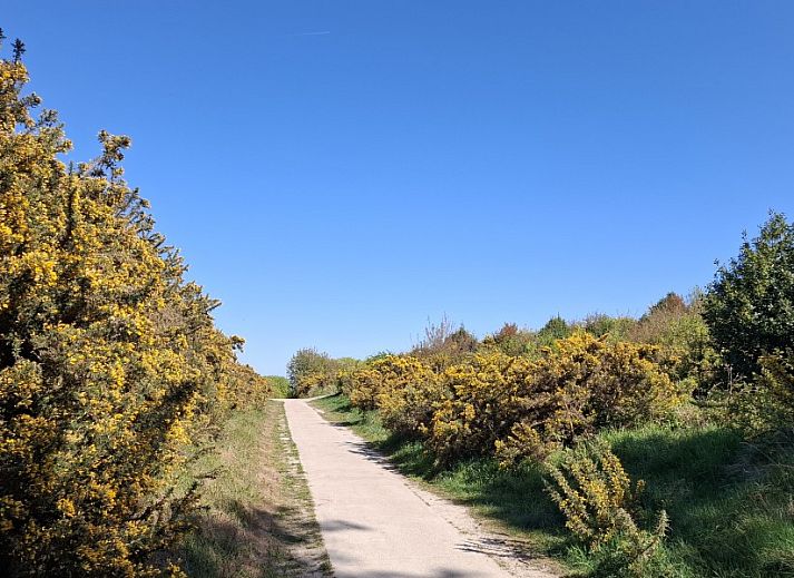 Unterkunft 031592 - Mobilheim Terschelling - Moai Fuort (nabij Bos &amp; Duin)