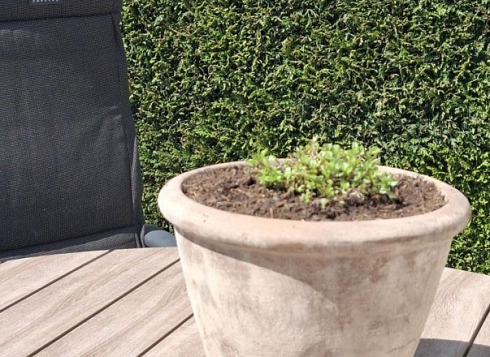 Unterkunft 031592 - Mobilheim Terschelling - Moai Fuort (nabij Bos &amp; Duin)