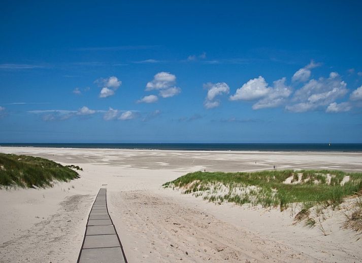 Gemuetliche Terrasse im Ferienhaus WadsEb.com in Klein Hoorn, Terschelling mit Blick auf Pferde und Natur.