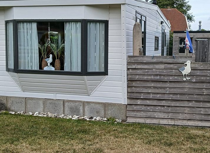 Unterkunft 032203 - Chalet Terschelling - De Albatros