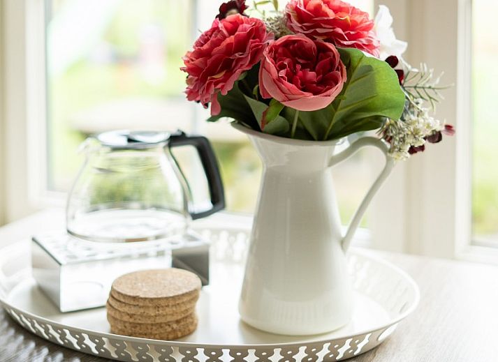 Ferienhaus De Dijkwachter in Ballum, Ameland, umgeben von gruenen Feldern und bunten Blumen.