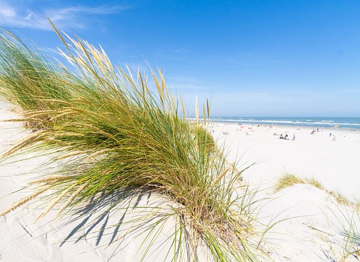 Moderne Kueche im Ferienhaus De Dijkwachter, Ballum, Ameland, mit Holzverkleidung und allen Annehmlichkeiten.
