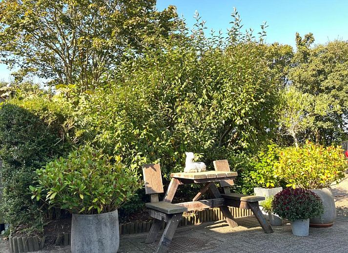 Verblijf 040104 - Bed and breakfast Texel - B&B Vloedlijn Texel