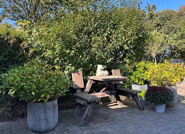 Verblijf 040104 - Bed and breakfast Texel - B&B Vloedlijn Texel