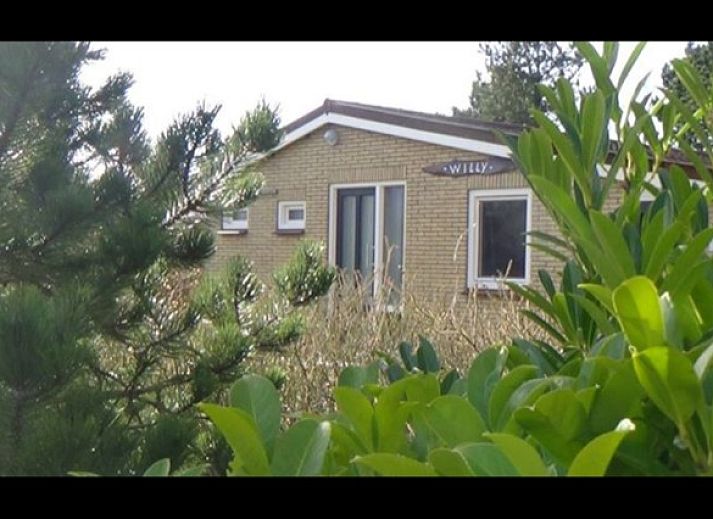 Unterkunft 0401116 - Bungalow Ameland - Willy