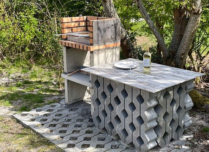 Unterkunft 0401116 - Bungalow Ameland - Willy