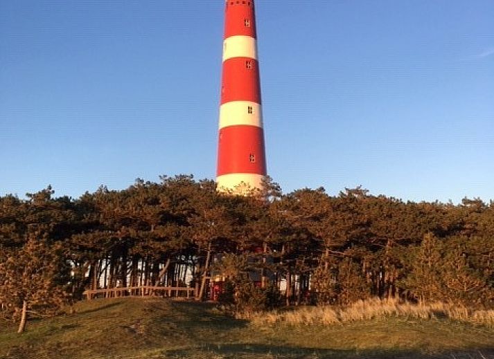 Unterkunft 0401116 - Bungalow Ameland - Willy