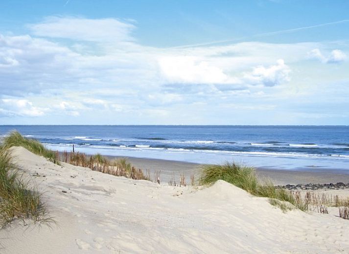 Unterkunft 0401116 - Bungalow Ameland - Willy