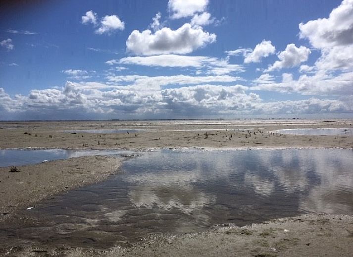 Unterkunft 0401116 - Bungalow Ameland - Willy