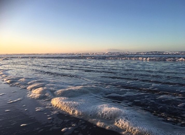 Unterkunft 0401116 - Bungalow Ameland - Willy