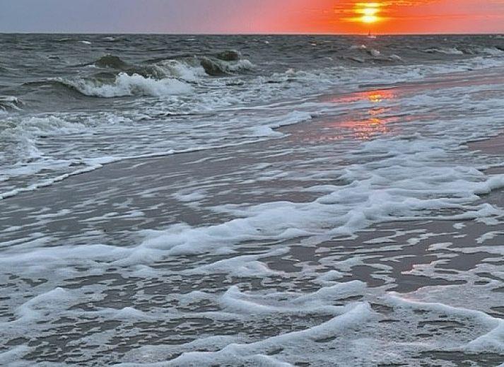 Unterkunft 0401116 - Bungalow Ameland - Willy