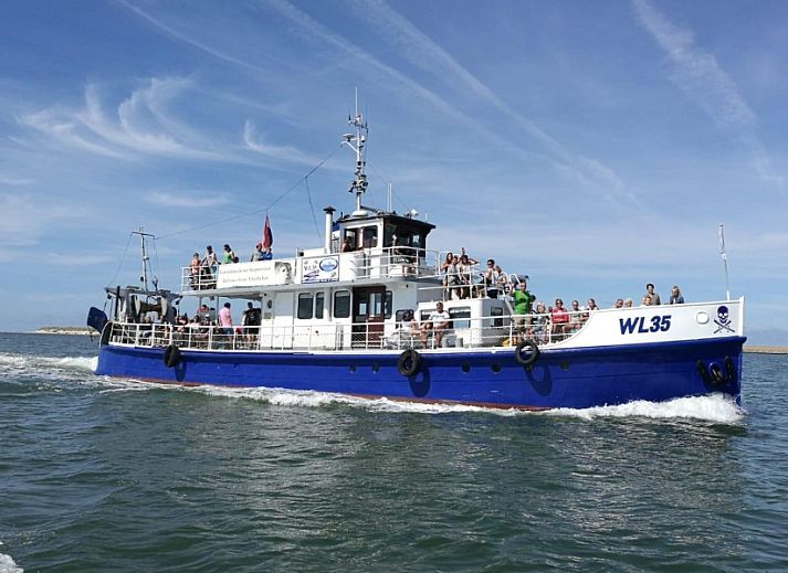 Unterkunft 0401124 - Bungalow Ameland - rust en ruimte