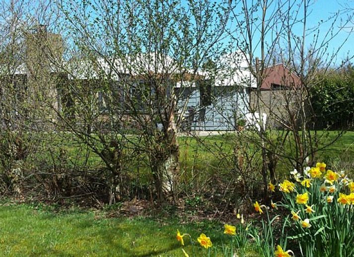 Guest house 0401126 - Bungalow Ameland - Jans