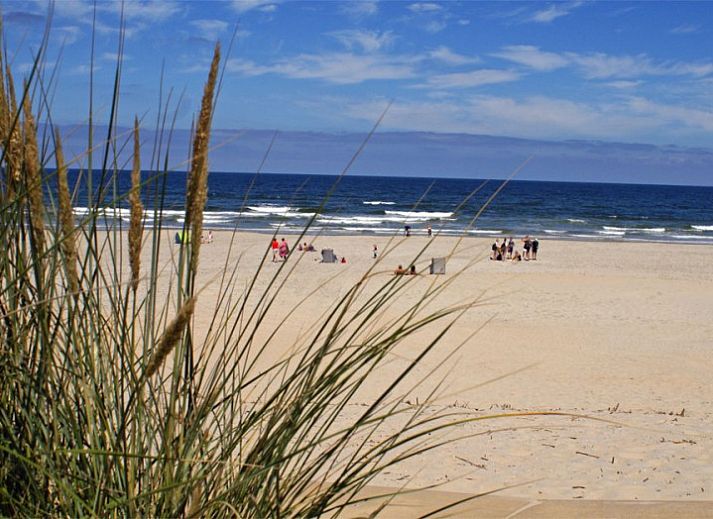 Chill auf Ameland Ferienhaus in Ballum mit viel Gruen und Privatsphaere.