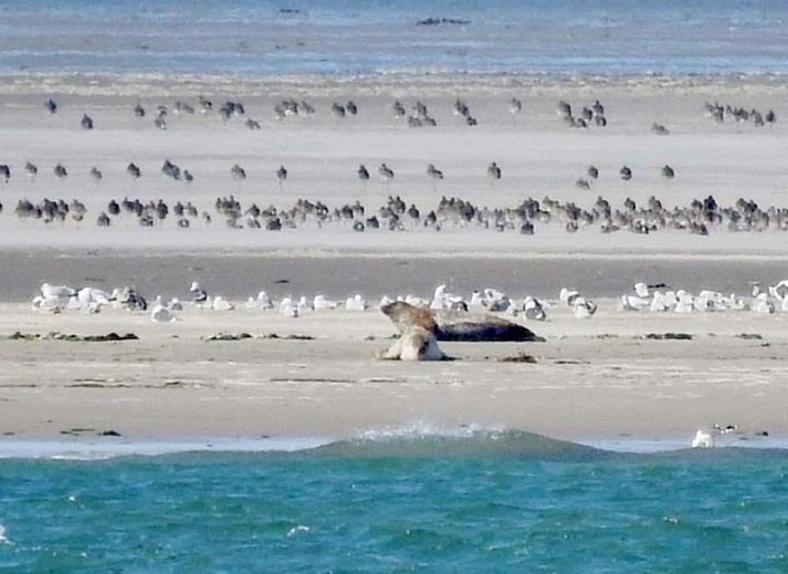 Schlafzimmer mit Bad in Chill on Ameland Ferienhaus Ballum.