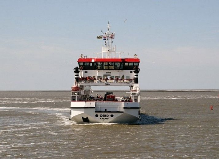 Unterkunft 0401141 - Ferienhaus Ameland - Mirasol