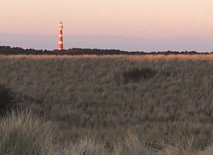 Unterkunft 0401142 - Ferienhaus Ameland - Estrella