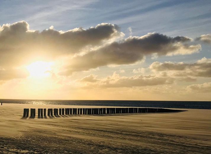 Unterkunft 0401142 - Ferienhaus Ameland - Estrella
