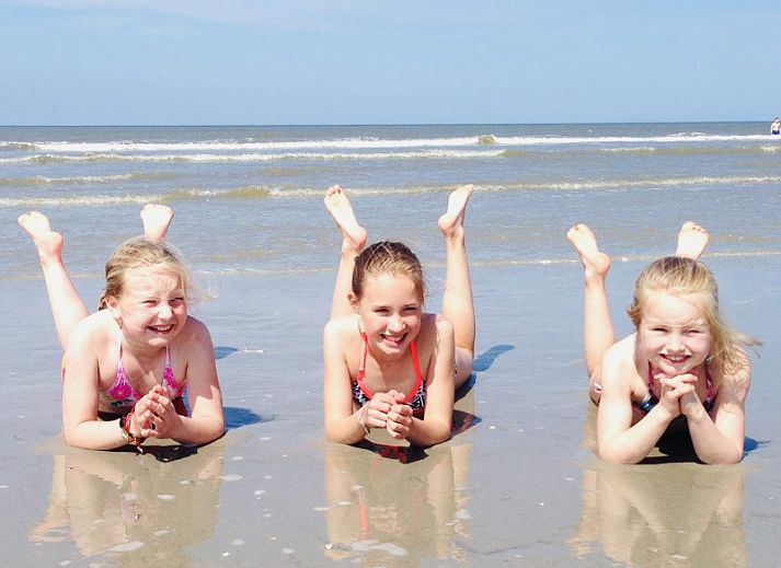 Unterkunft 0401142 - Ferienhaus Ameland - Estrella