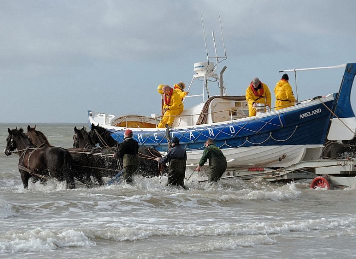Volledig uitgeruste keuken in Chalet2rent Ameland, ideaal vakantiehuis in Ballum.