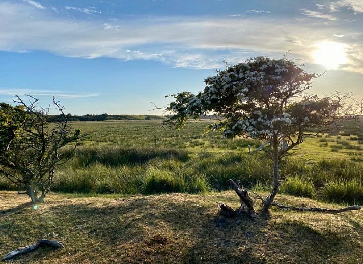 Guest house 0401145 - Bungalow Ameland - Mistral