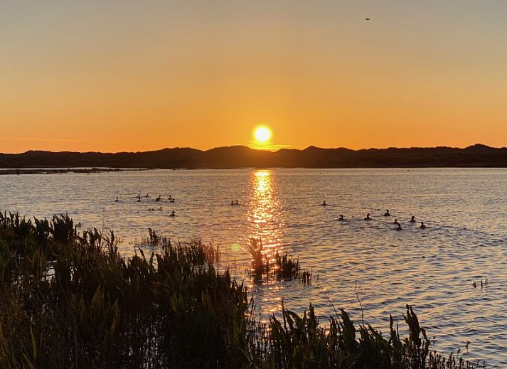 Guest house 0401145 - Bungalow Ameland - Mistral