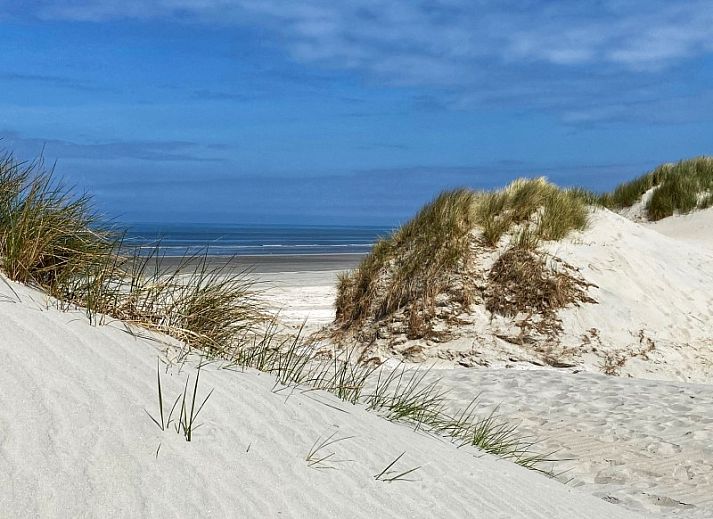 Guest house 0401145 - Bungalow Ameland - Mistral