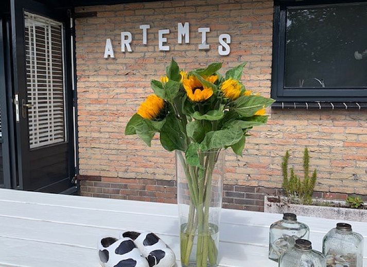 Unterkunft 0401154 - Ferienhaus Ameland - Artemis