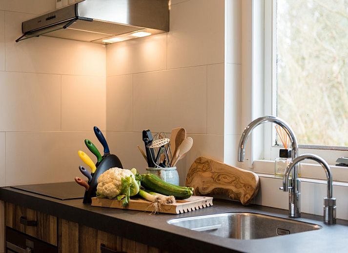 Unterkunft 0401154 - Ferienhaus Ameland - Artemis
